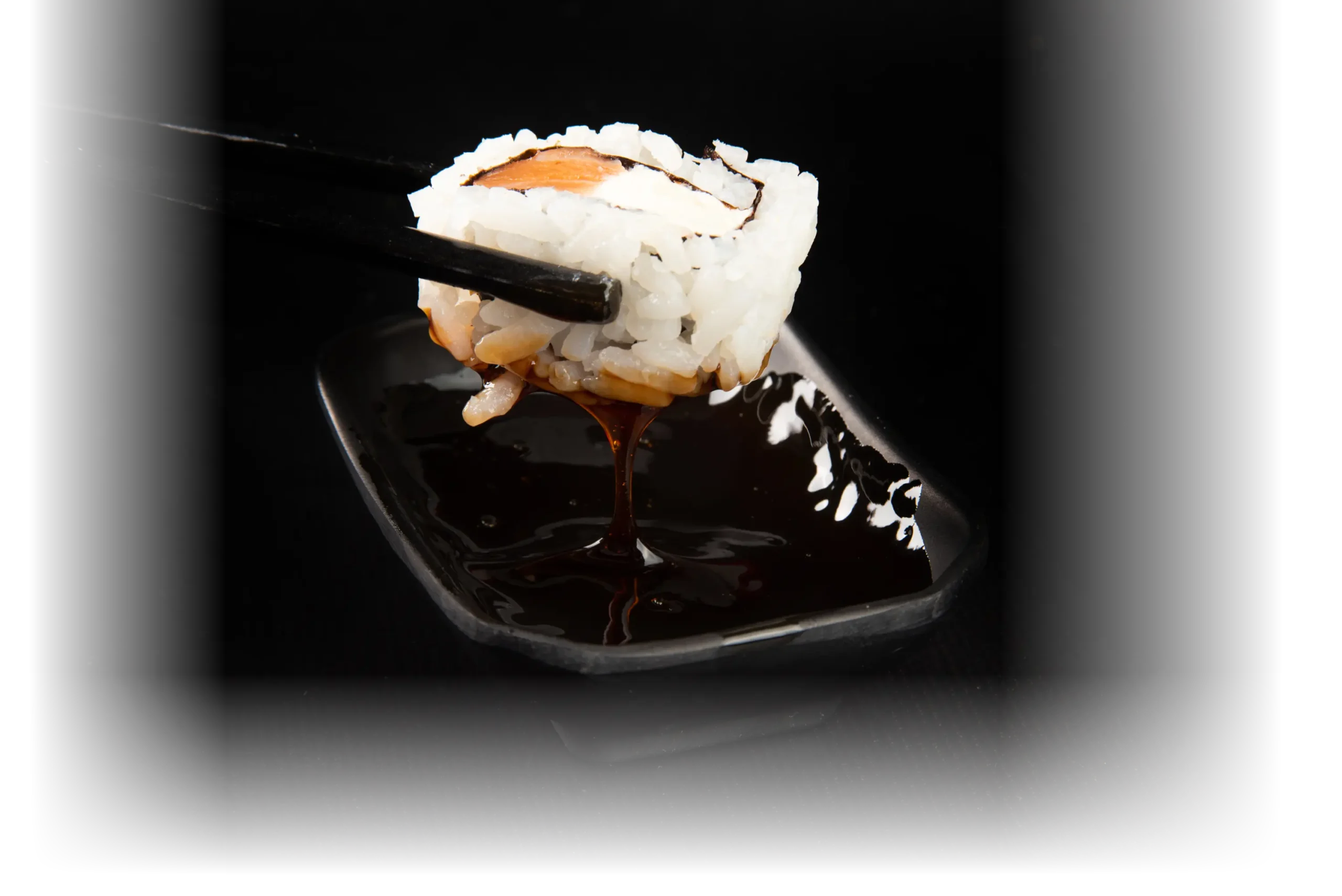 sushi 1 scaled