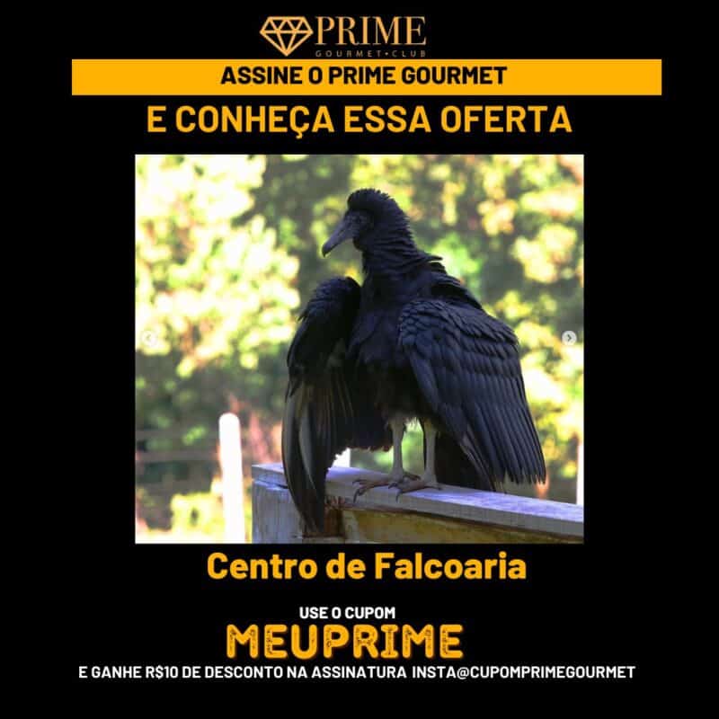 Cupom desconto MeuPrime Centro Falcoaria Foz do Iguaçu