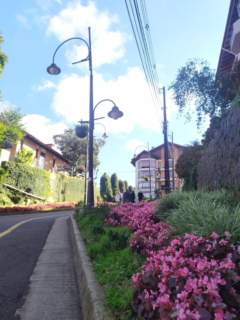 fotos rua torta lago negro