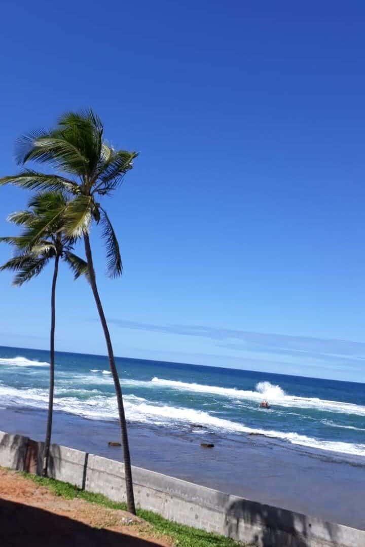 Foto real via Google