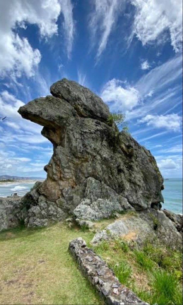 Foto real via Google