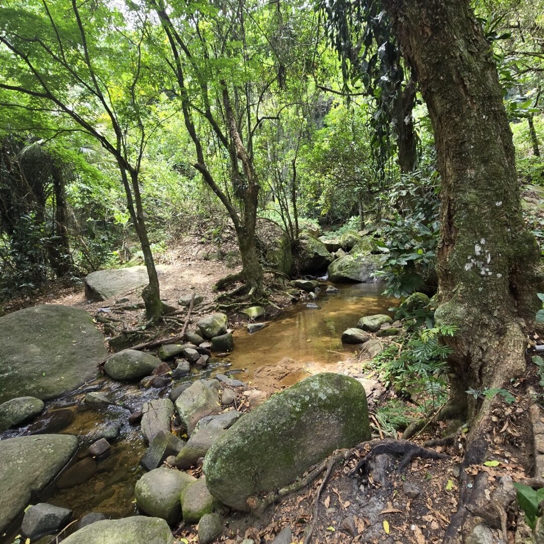 Foto real de Cachoeira do Rio da Prata