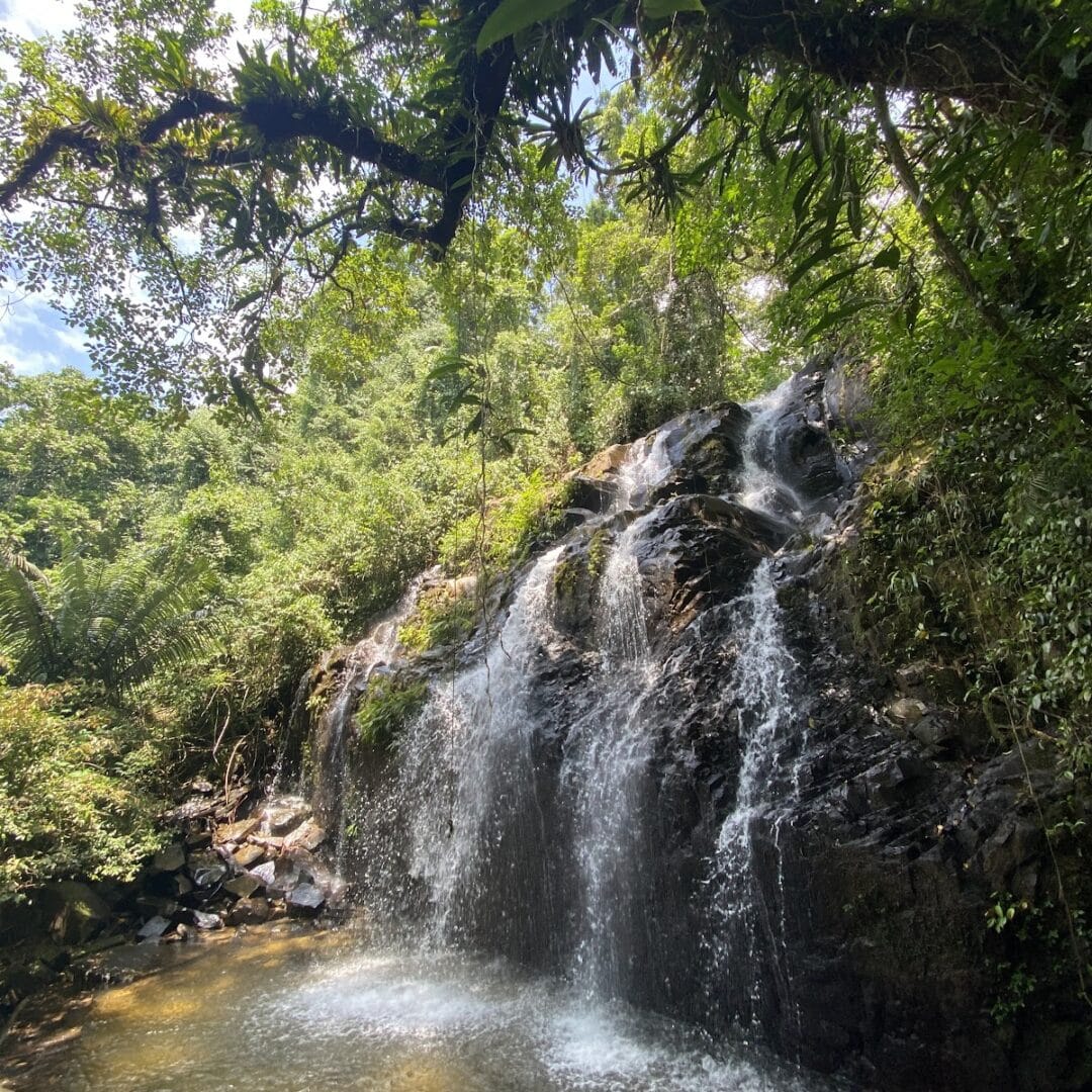 Foto real de Cachoeira do Palmital