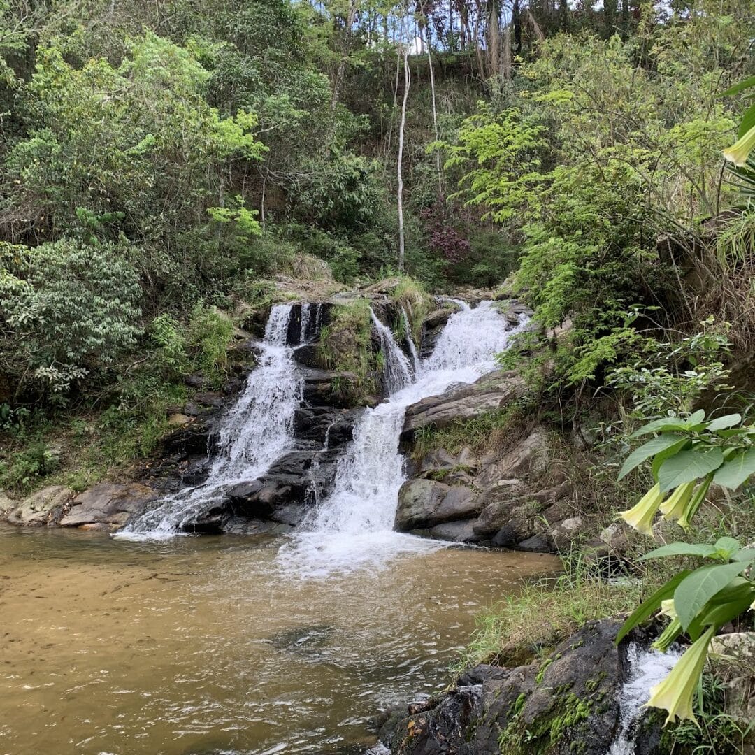 Foto real de Cachoeira do Camundá