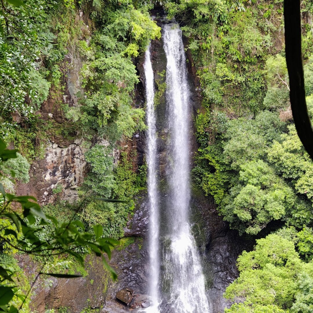 Foto real de Cachoeira do Arroio do Quilombo