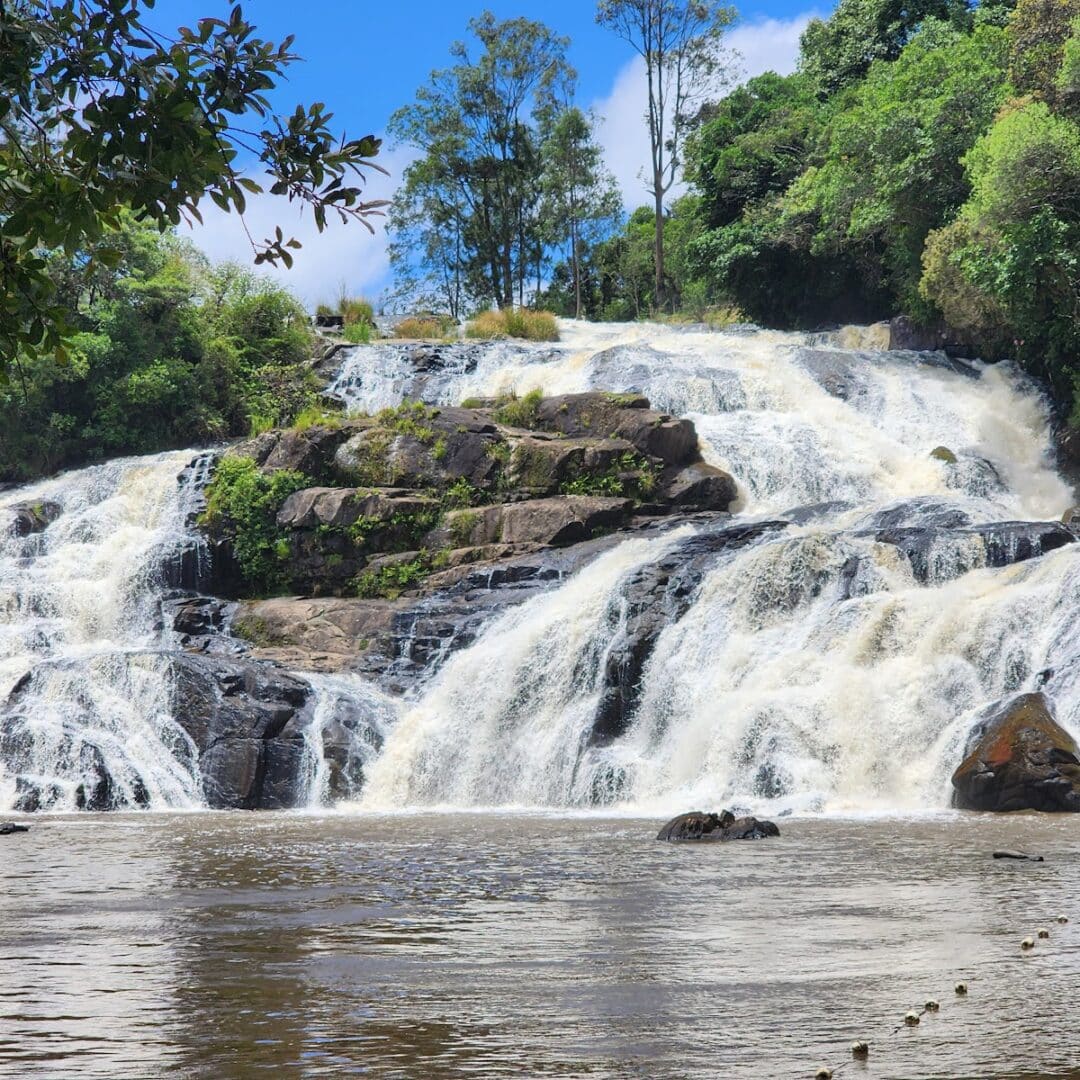 Foto real de Cachoeira do Saltinho