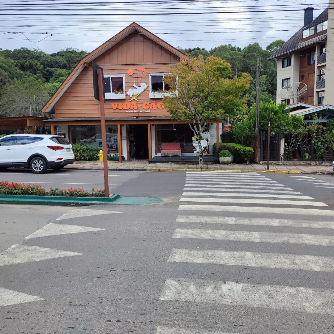 Foto real de Rua dos Girassóis