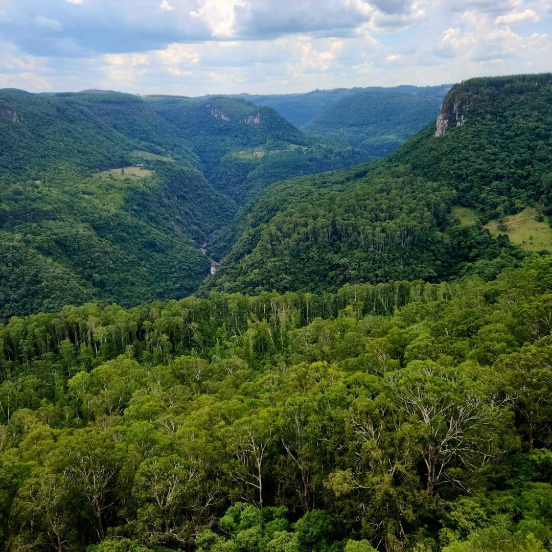 Foto real de Cascata do Arroio do Paredão