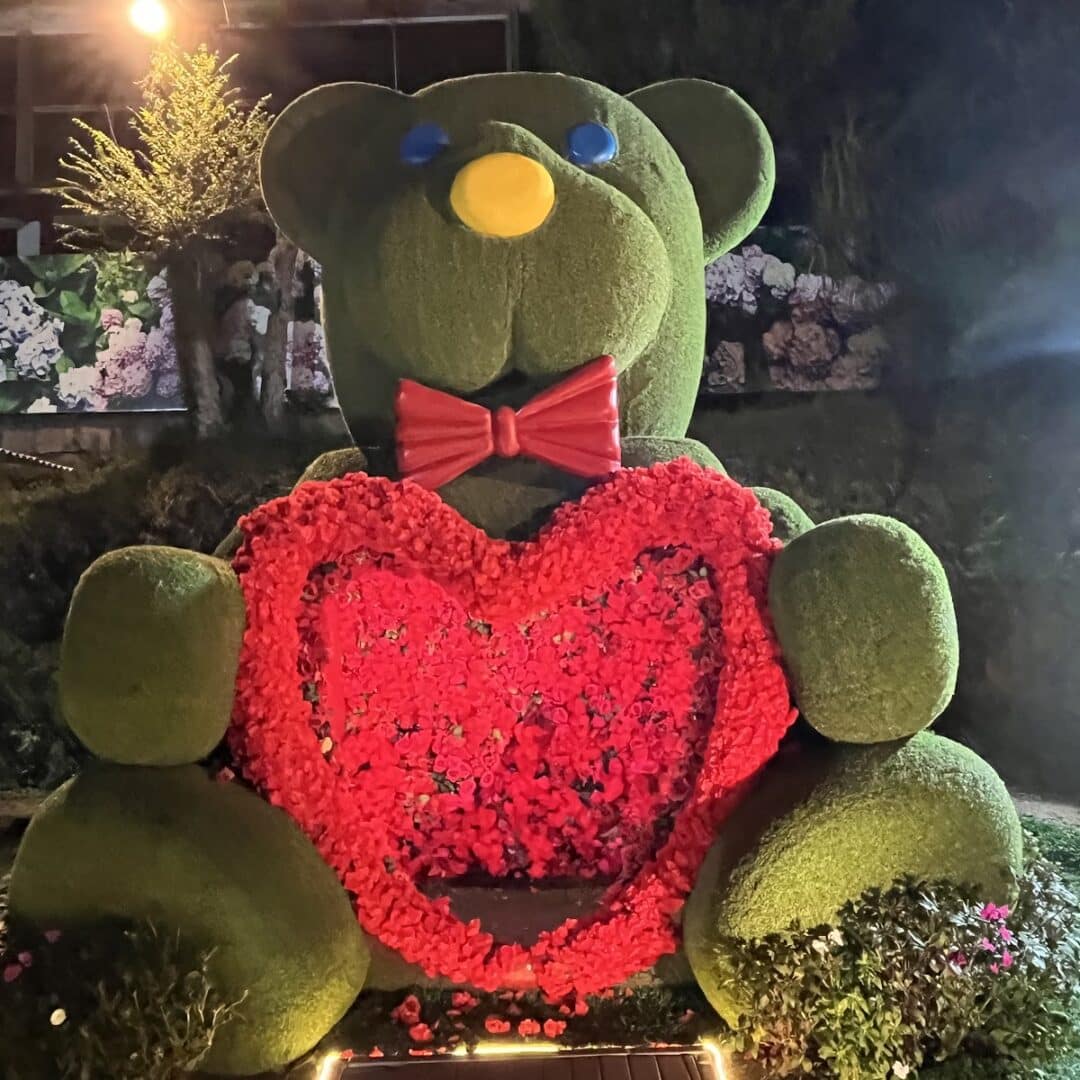 Foto real de Praça das Hortênsias