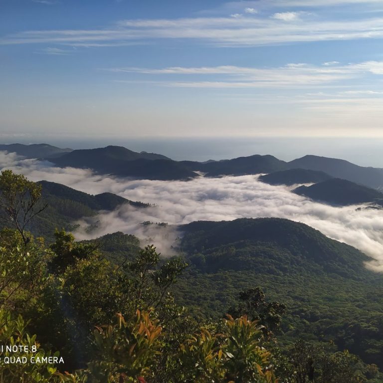 trilha Pico da Pedra