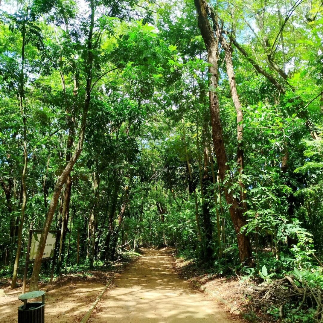 Foto real de Jardim Botânico de Salvador