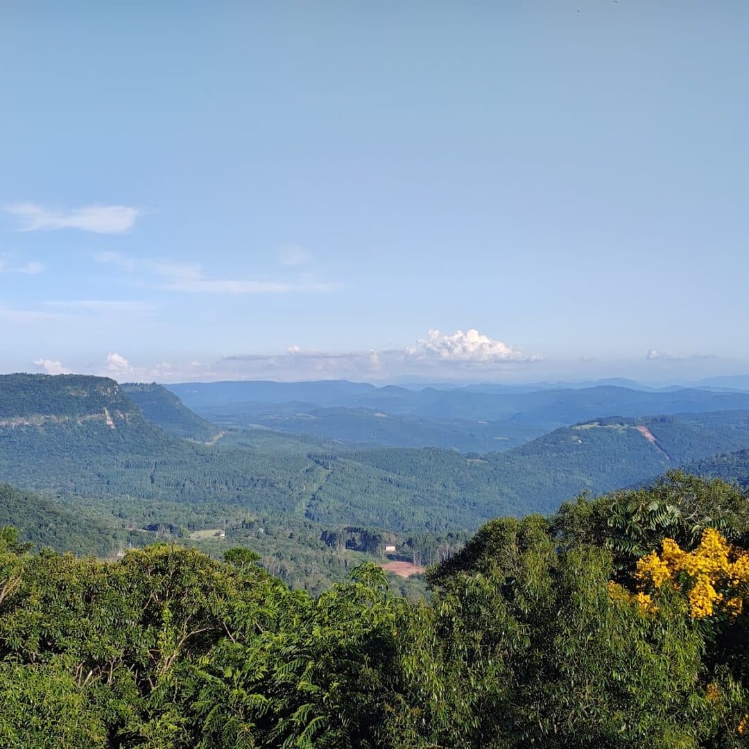 Foto real de Mirante do Morro do Alecrim
