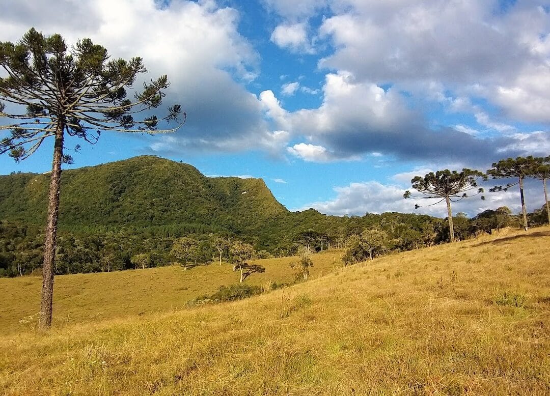 Foto real de Morro do Trombudo