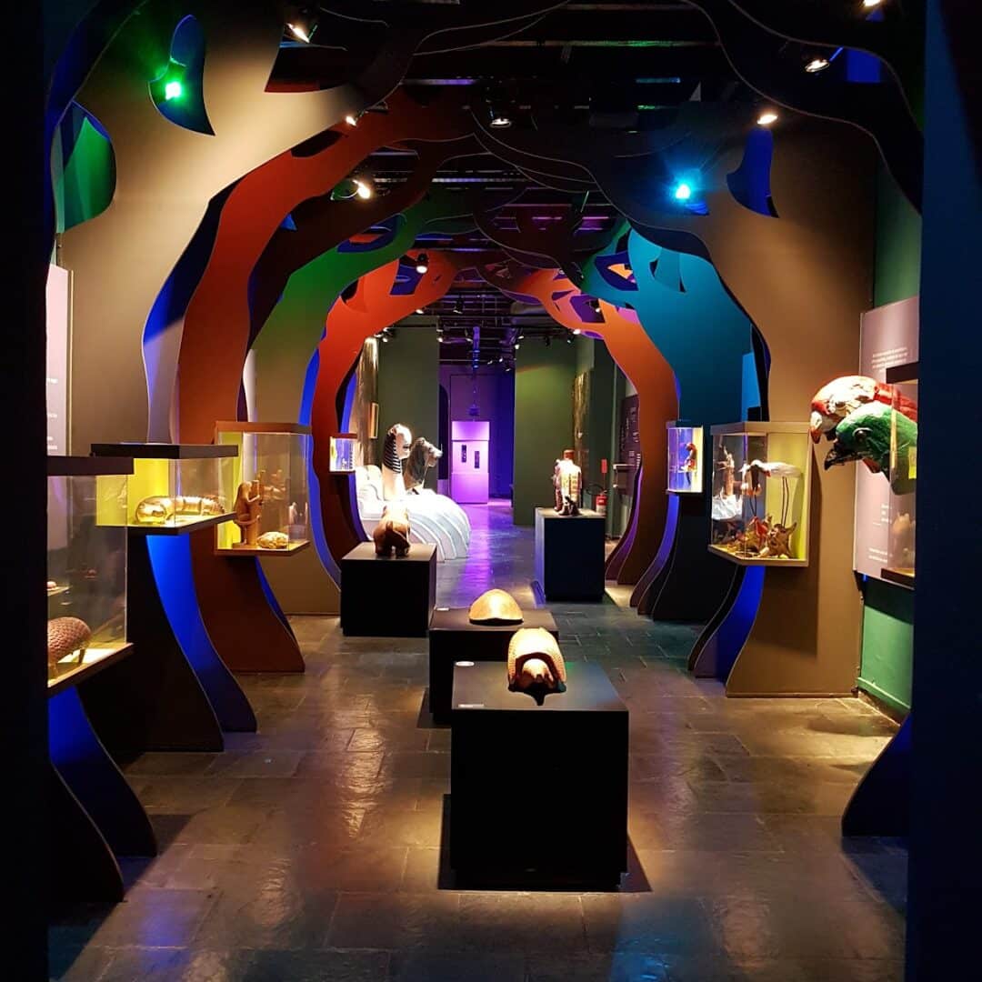 Foto real de Museu do Folclore