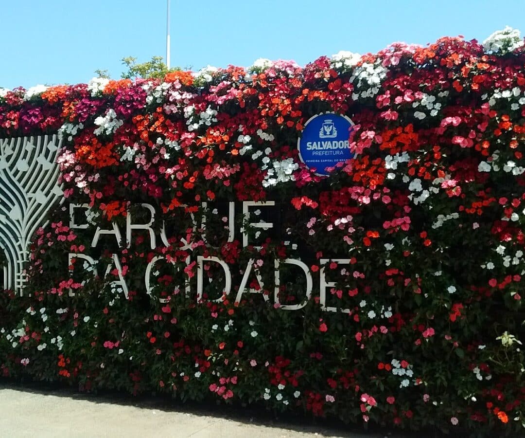 Foto real de Parque da Cidade