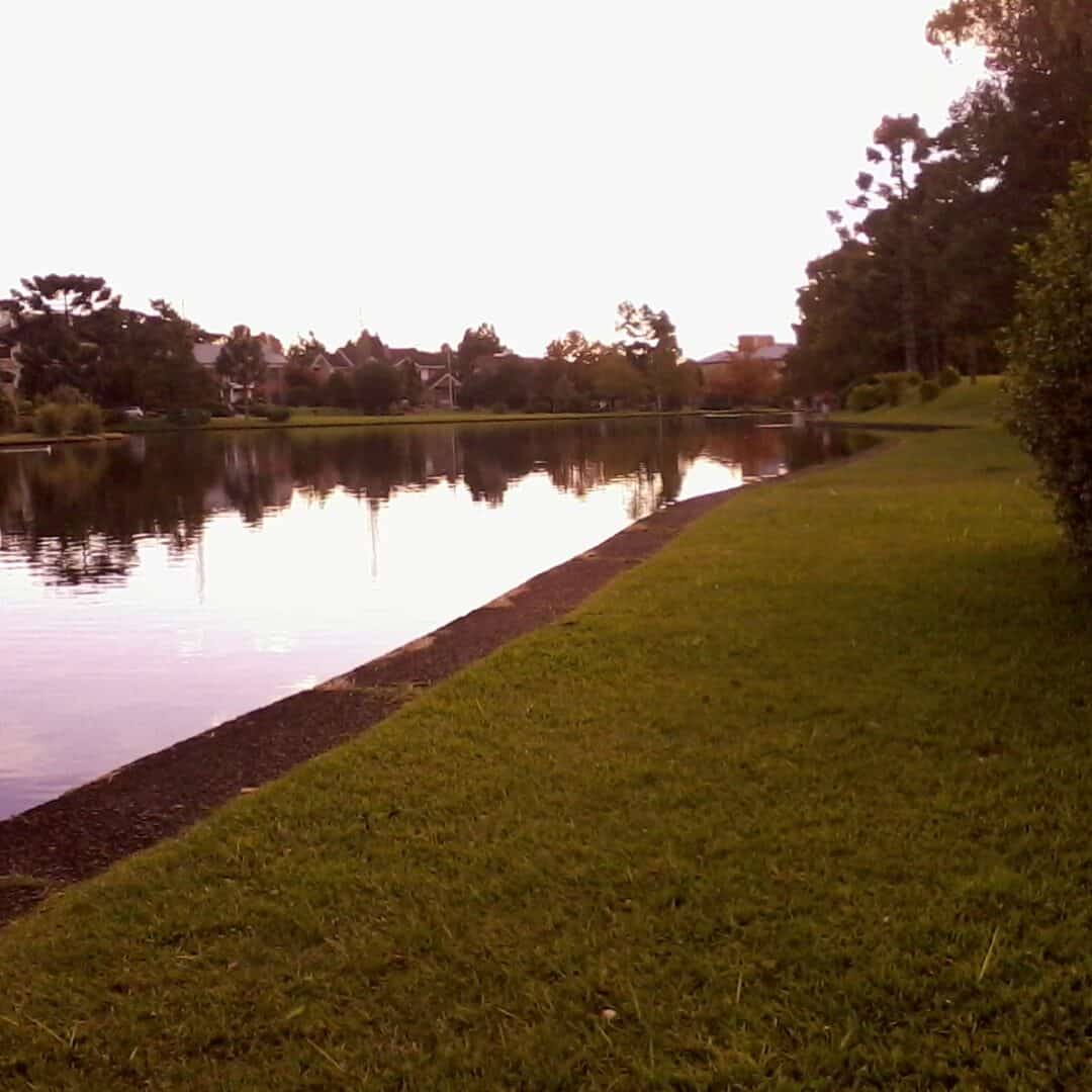 Foto real de Parque das Hortênsias