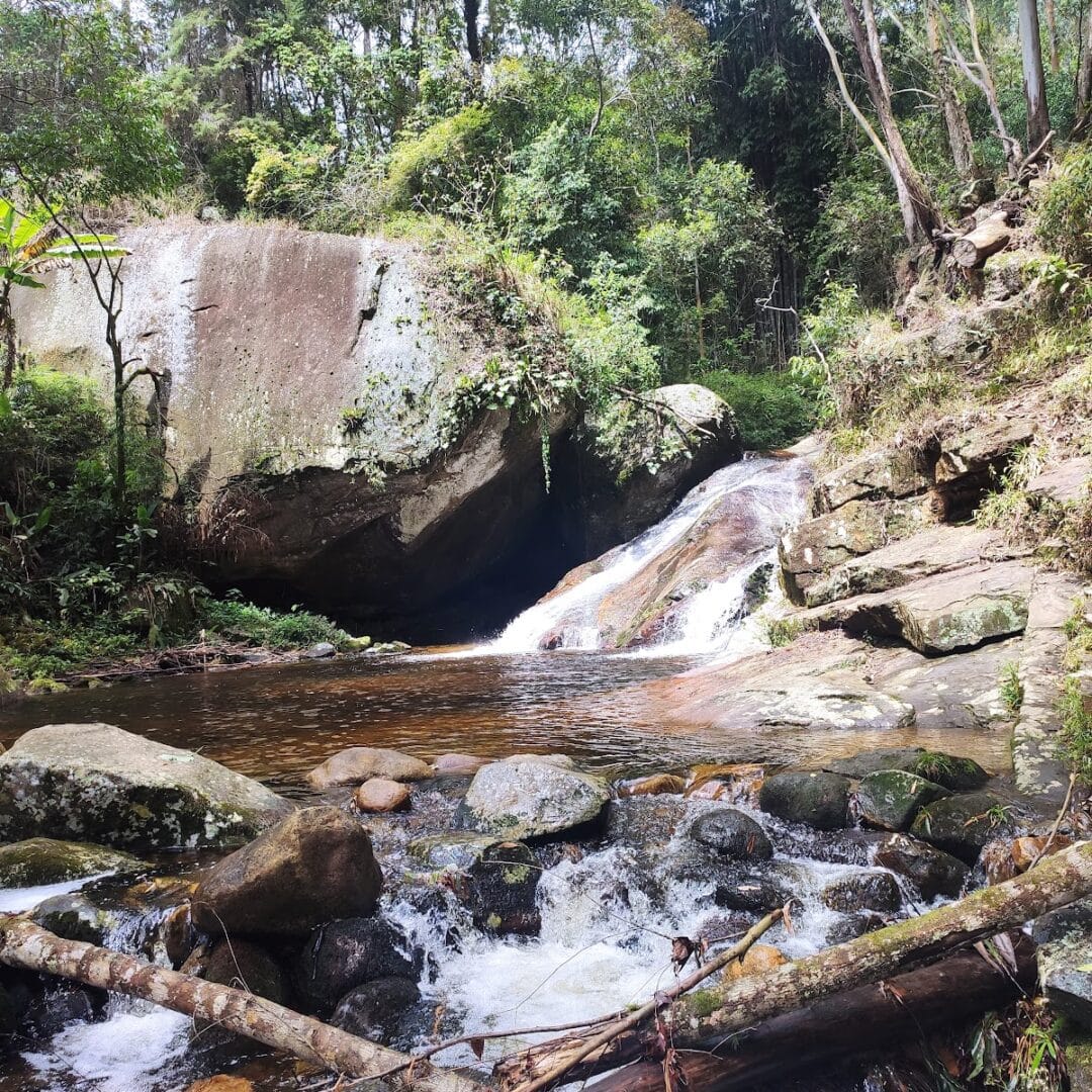 Foto real de Parque da Cidade