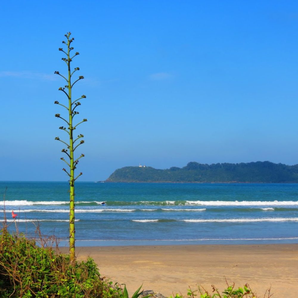 Foto real de Praia da Atalaia