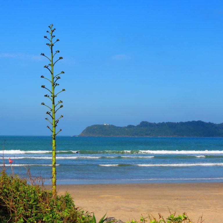Praia da Atalaia Camboriú