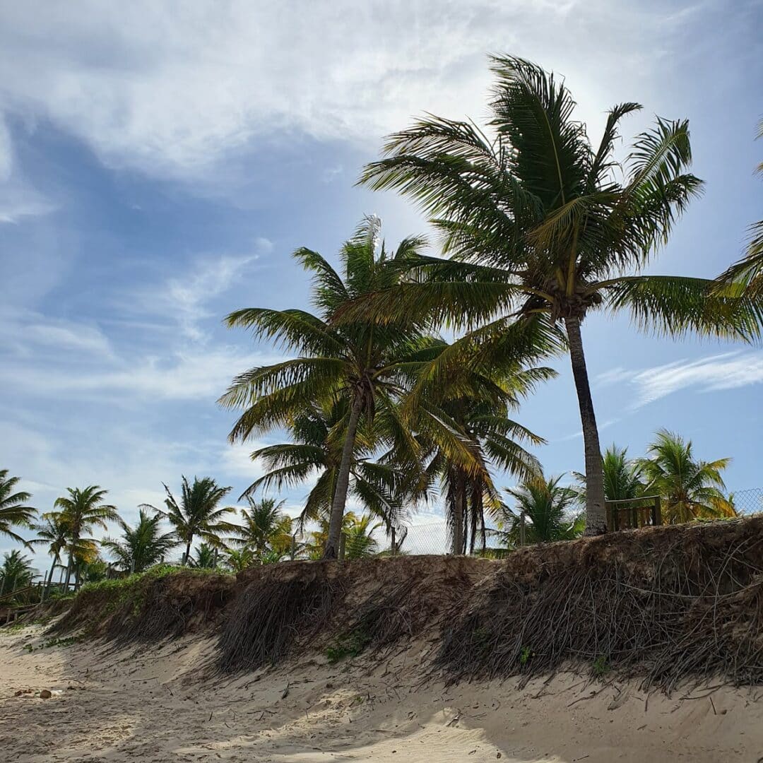 Foto real de Praia da Espera