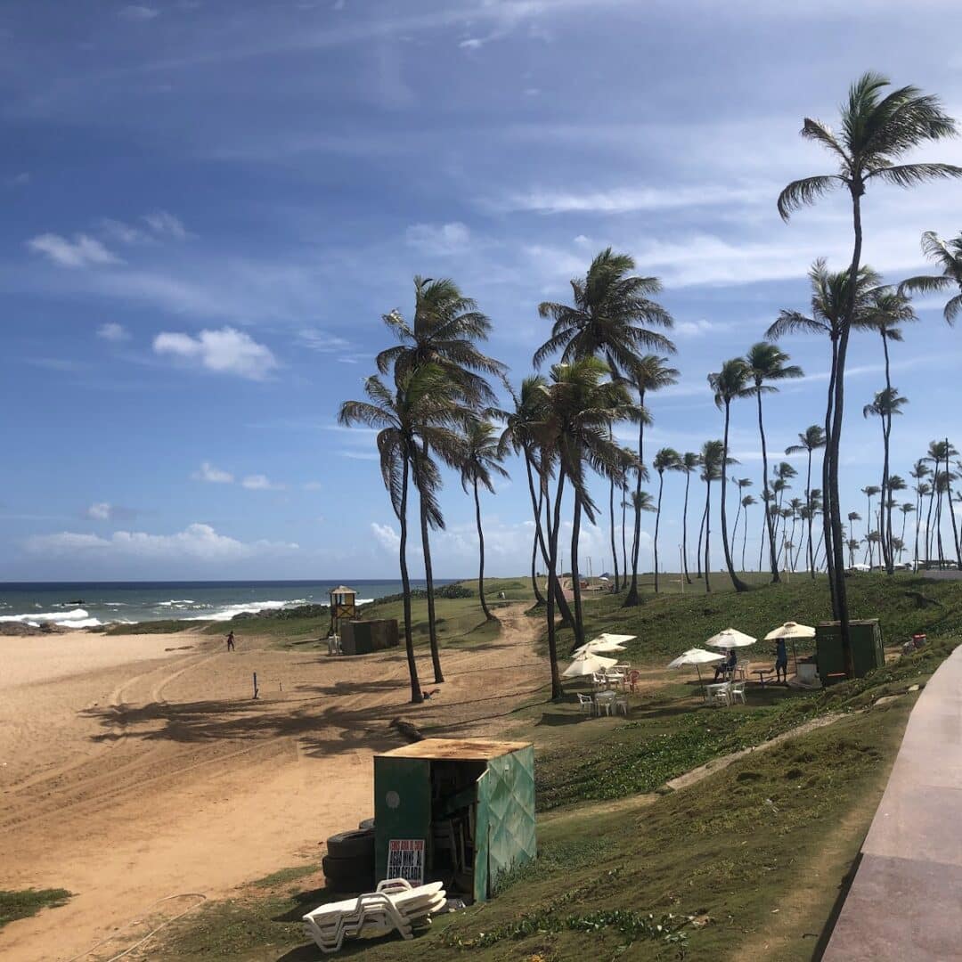 Foto real de Praia de Armação