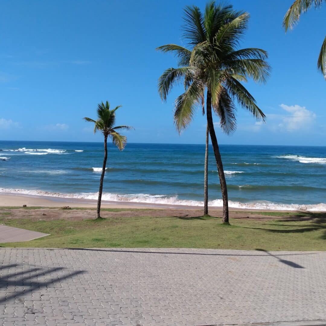 Foto real via Google