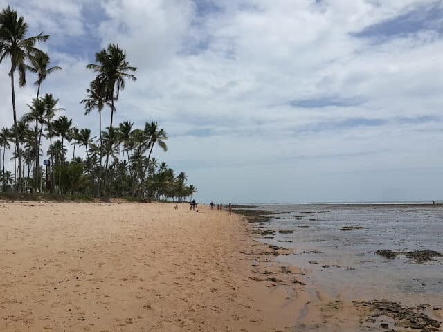 Foto real de Praia do Lord