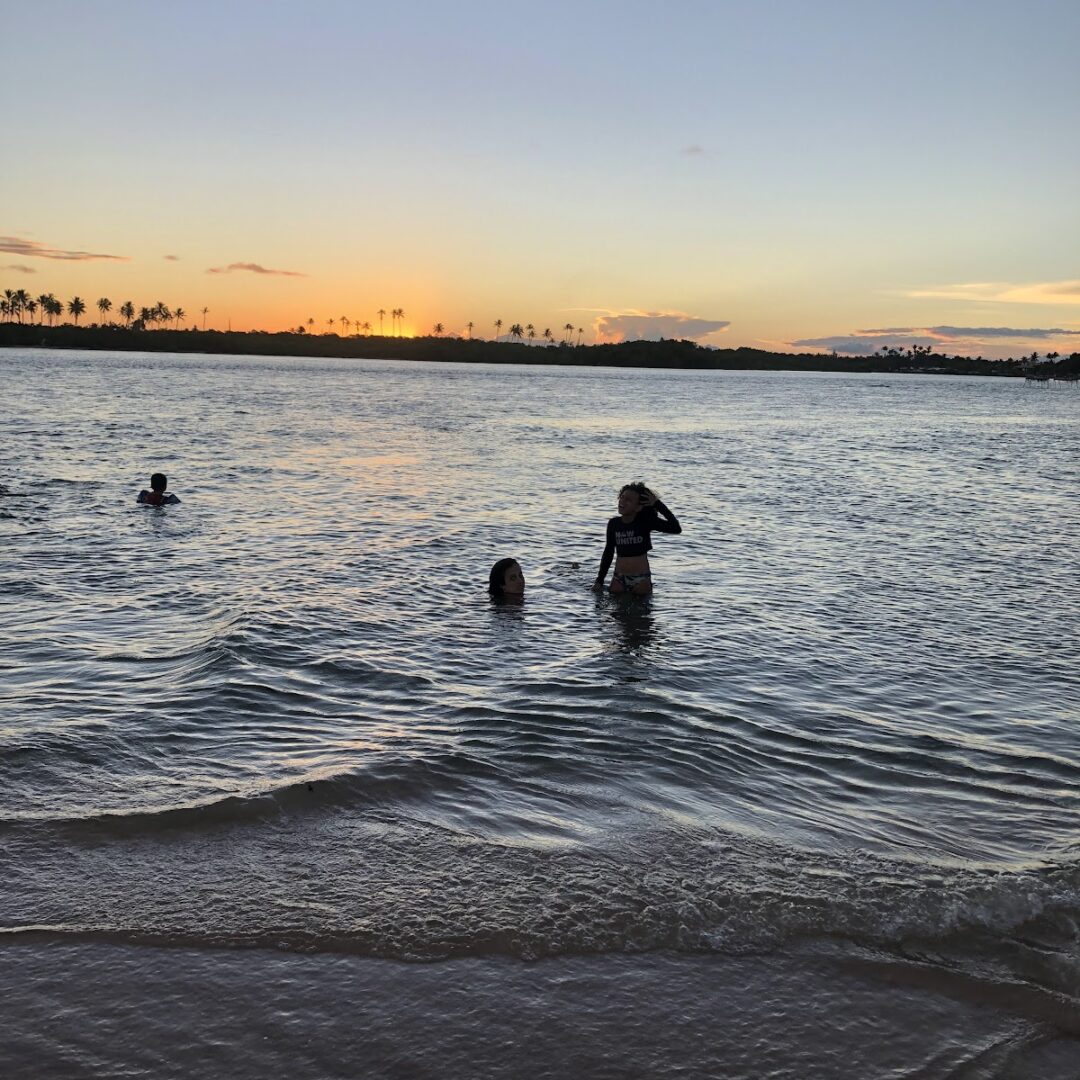 Foto real de Foz do Rio Jacuípe