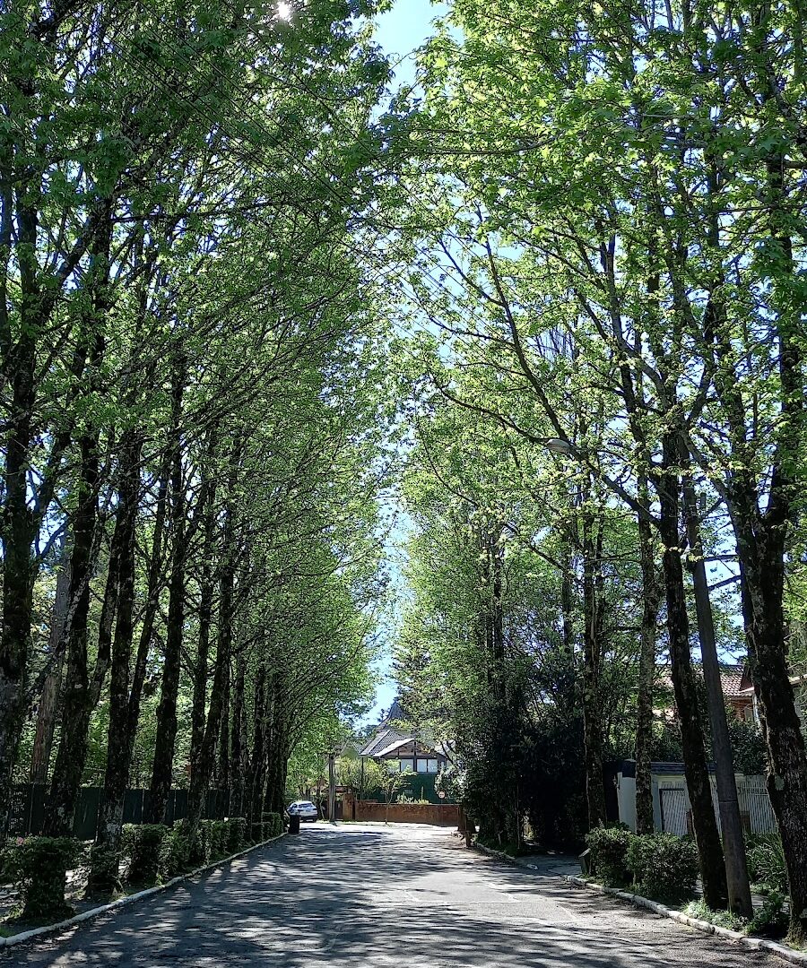 Foto real de Rua do Lajeadinho