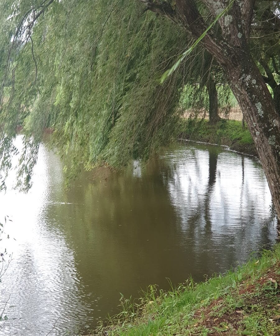 Foto real de Bairro Sertão