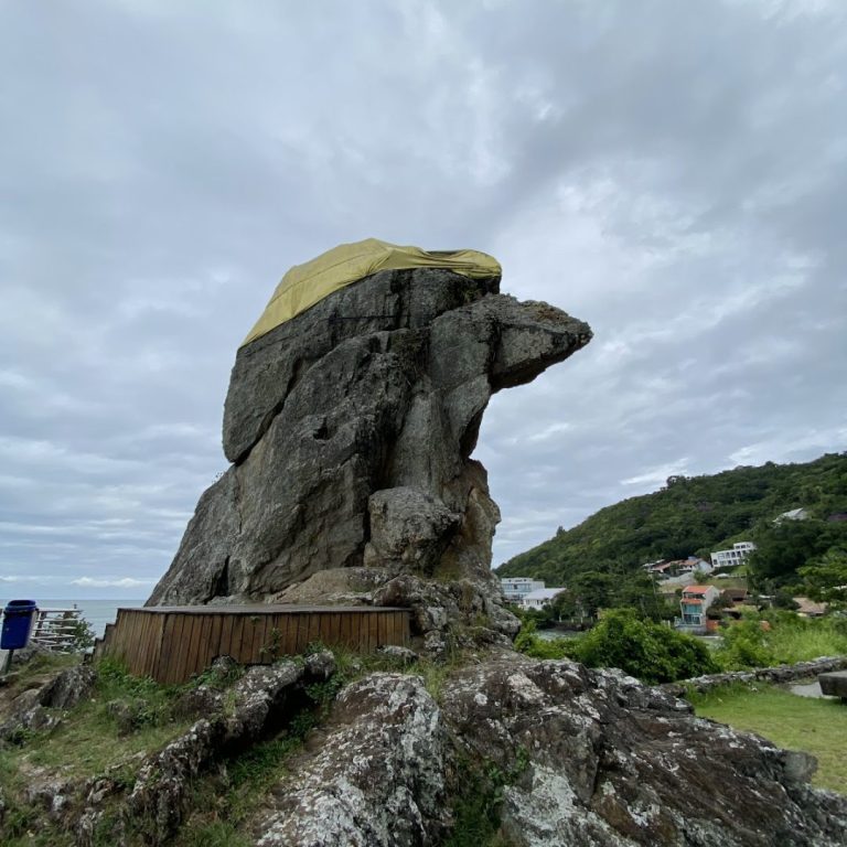 Foto real de Bico do Papagaio