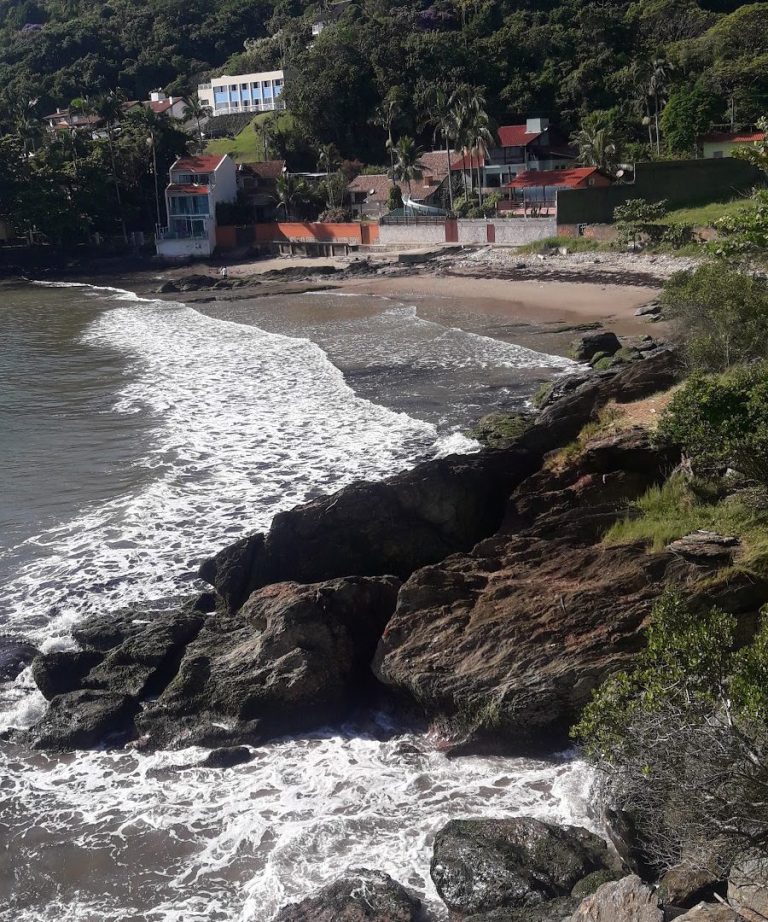 Foto real de Bico do Papagaio