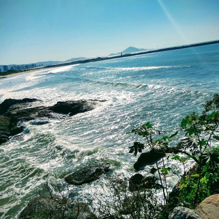 Foto real de Bico do Papagaio