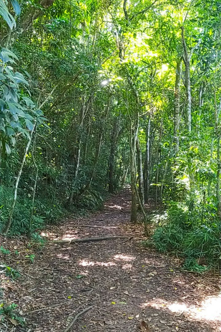 Foto real de Cachoeira da Praia Vermelha
