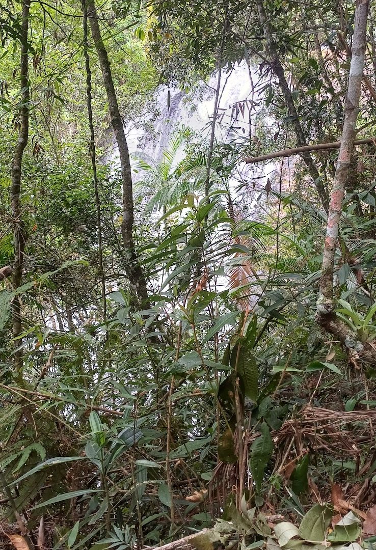 Foto real de Cachoeira do Arco Íris