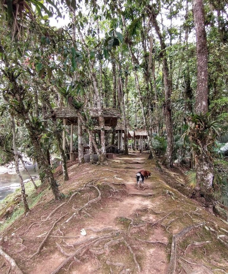 Foto real de Cachoeira Oma Paula