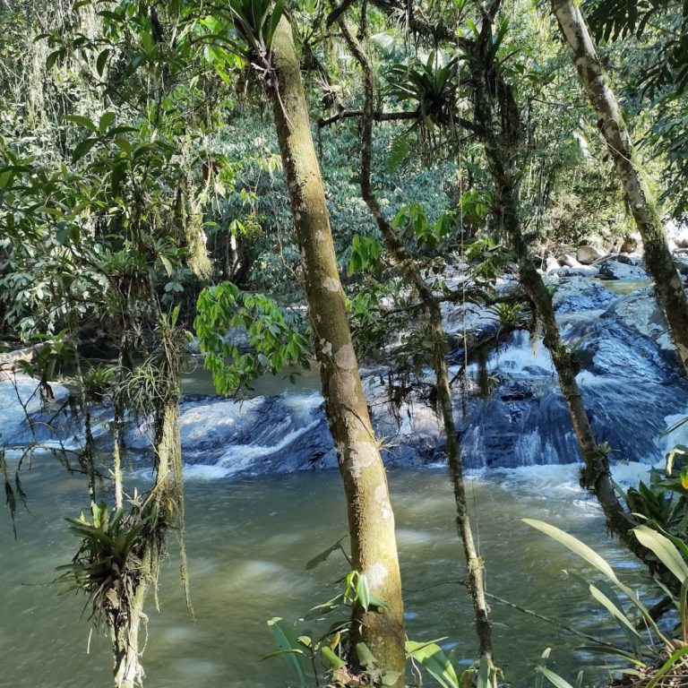 Foto real de Cachoeira Oma Paula