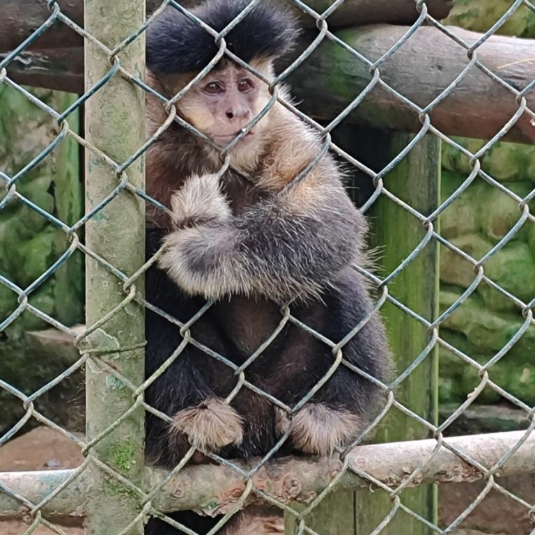 Foto real de Fundação Parque Ecológico Zoo Botânico de Brusque