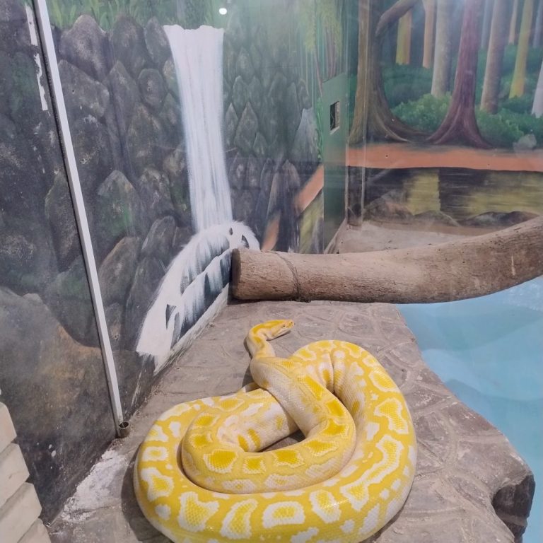 Foto real de Fundação Parque Ecológico Zoo Botânico de Brusque