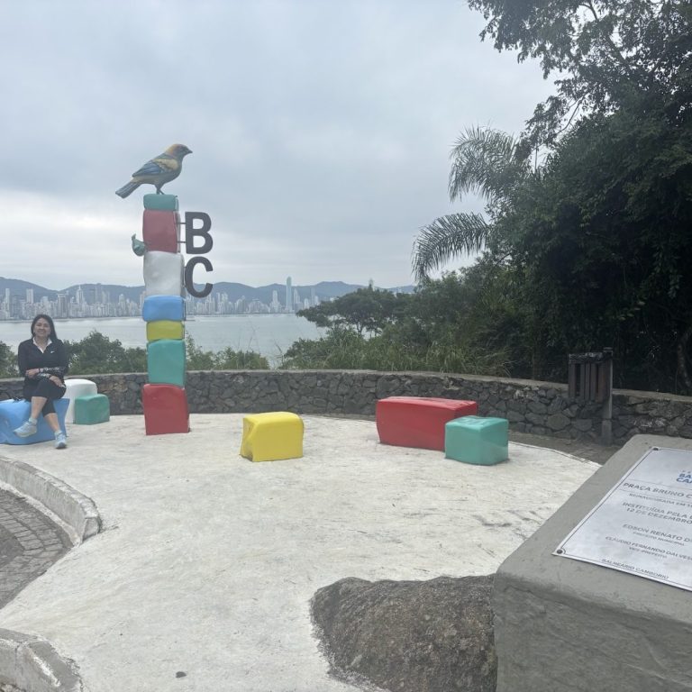 Foto real de Mirante Rodovia Interpraias