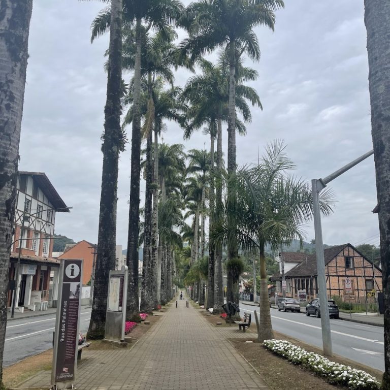 Foto real de Museu da Família Colonial