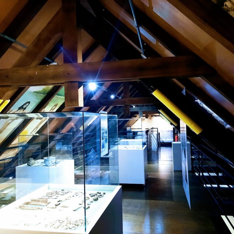 Foto real de Museu Etno-Arqueológico de Itajaí