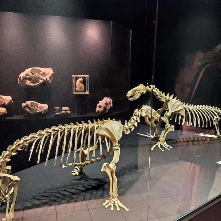 Foto real de Museu Oceanográfico Univali