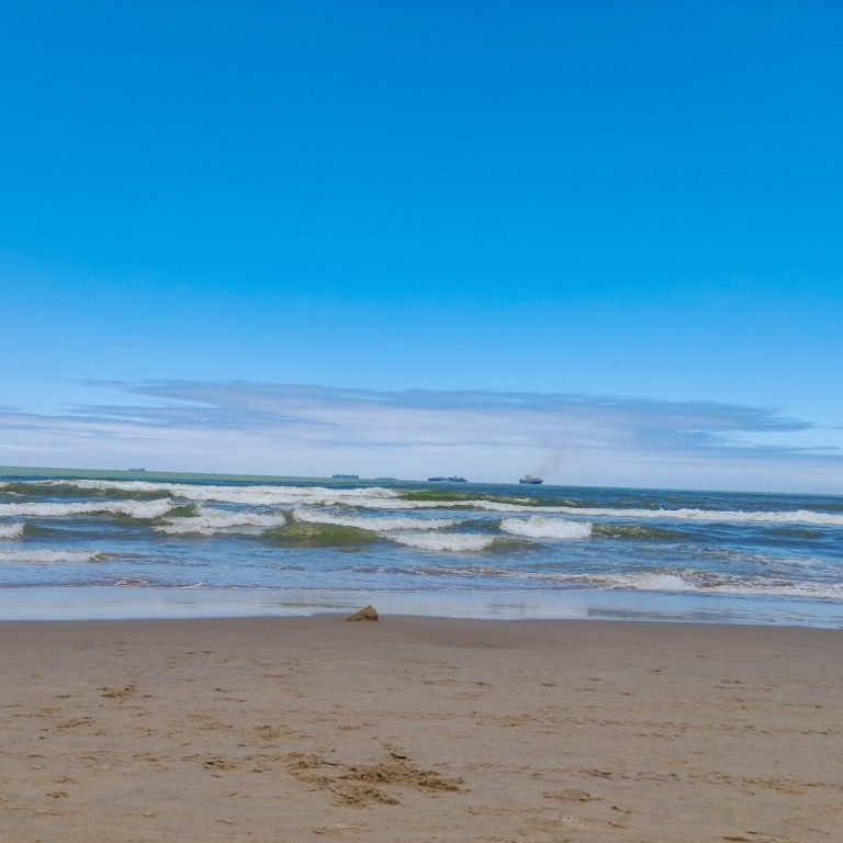 Foto real de Parque da Meia Praia