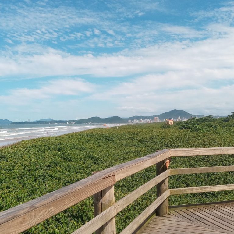 Foto real de Parque da Meia Praia