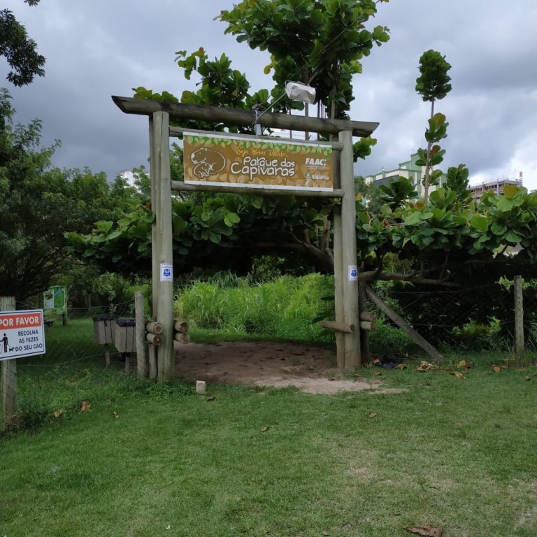 Foto real de Parque das Capivaras em Meia Praia/Itapema