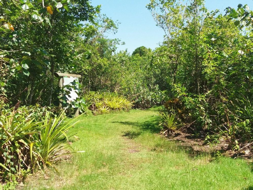 Foto real de Parque das Capivaras em Meia Praia/Itapema