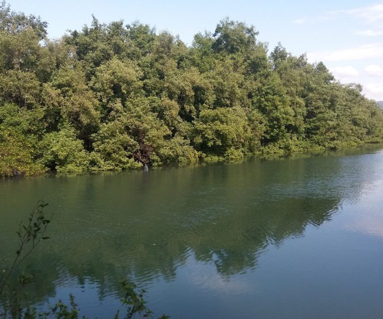 Foto real de Parque das Capivaras em Meia Praia/Itapema