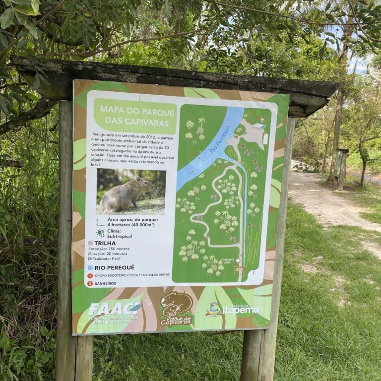 Foto real de Parque das Capivaras em Meia Praia/Itapema