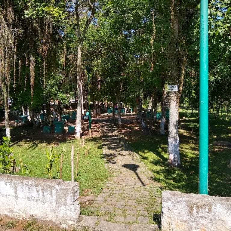 Foto real de Parque Ecológico Alessandro Weiss